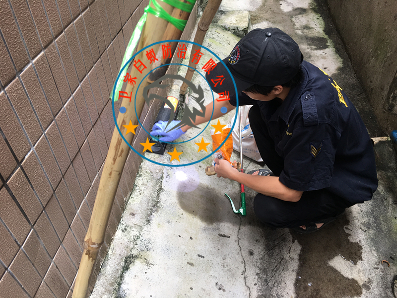 �����ֵ����󷽰�